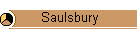 Saulsbury